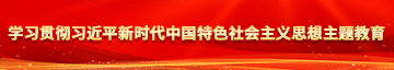 美女被大鸡八学习贯彻习近平新时代中国特色社会主义思想主题教育